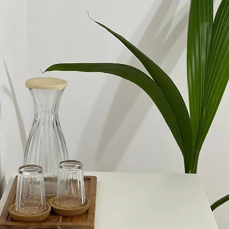 Rsa - Comfort Near Centre * Bucharest